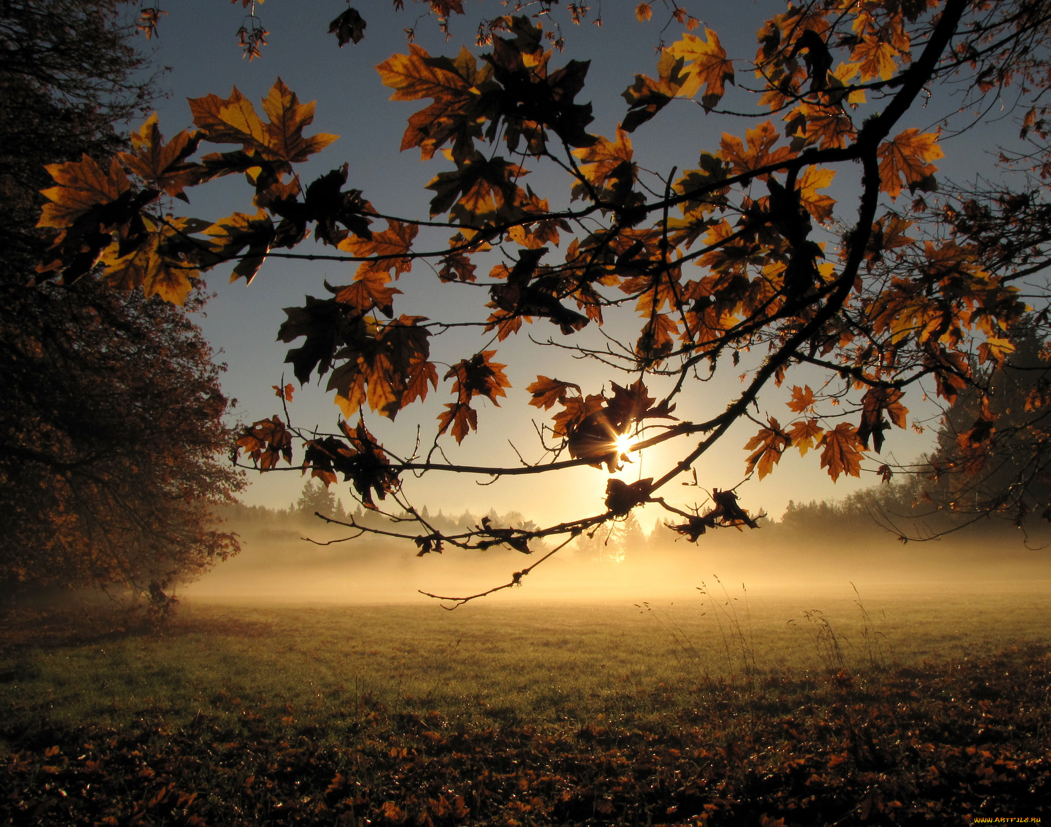 Невероятная осень. Осенний рассвет. Осень рассвет. Осень Восход. Осенний туман.